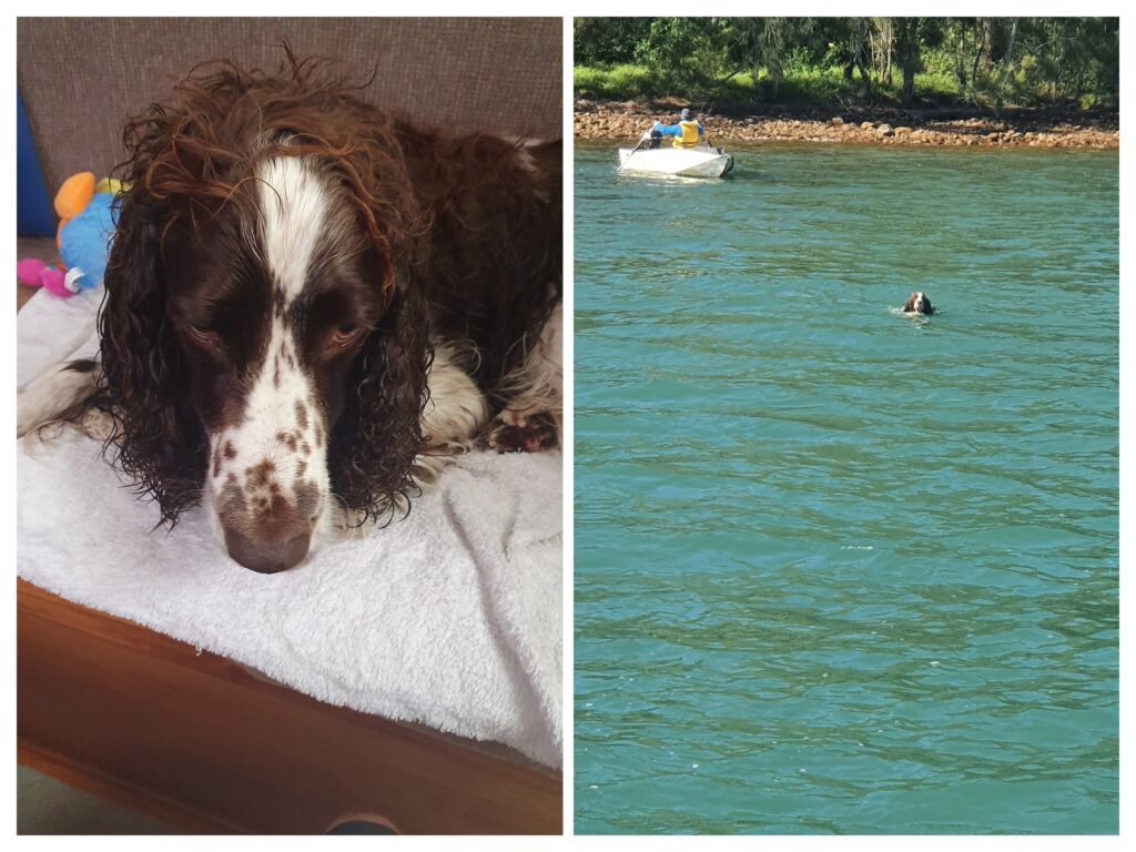 Left: Bernie looking soaked after an accidental fall in,
Right: Bernie swimming to Fi on Addictive from the beach 